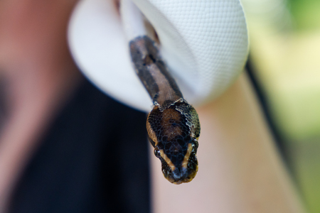 Festival podjetništva za mlade _ 2025 (17)